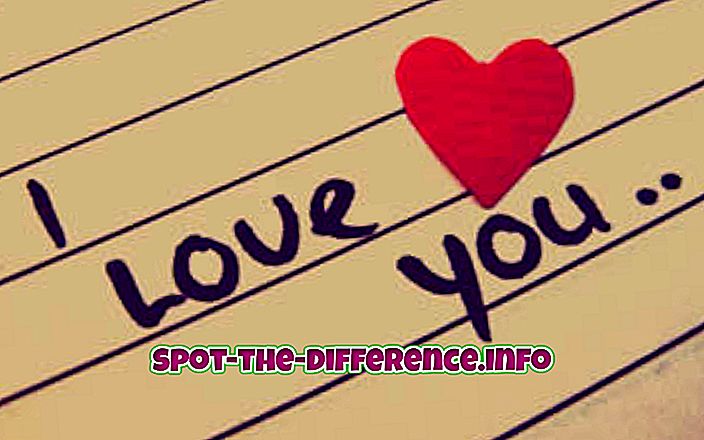 ความแตกต่างระหว่าง: ความแตกต่างระหว่างความรักและการงาน