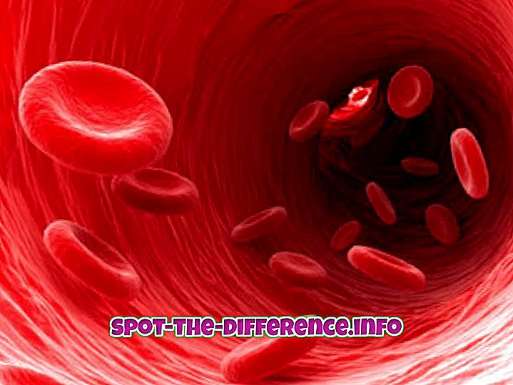 Forskjell mellom blod og hemoglobin
