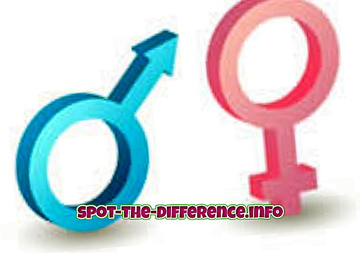 との差: 性別と性別の違い