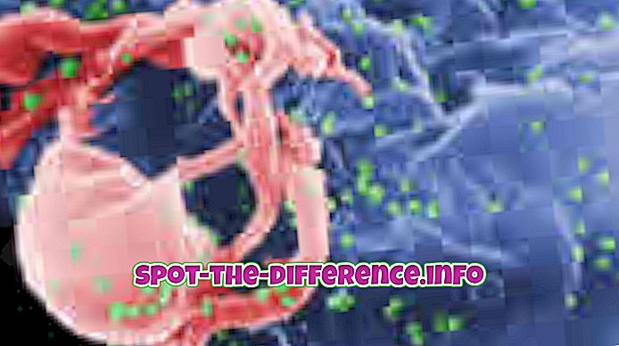 STD: n ja HIV: n välinen ero