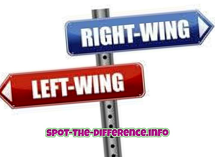 との差: 左右の政治の違い