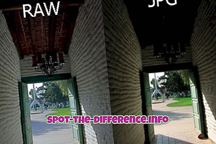 perbedaan antara: Perbedaan antara RAW dan JPEG