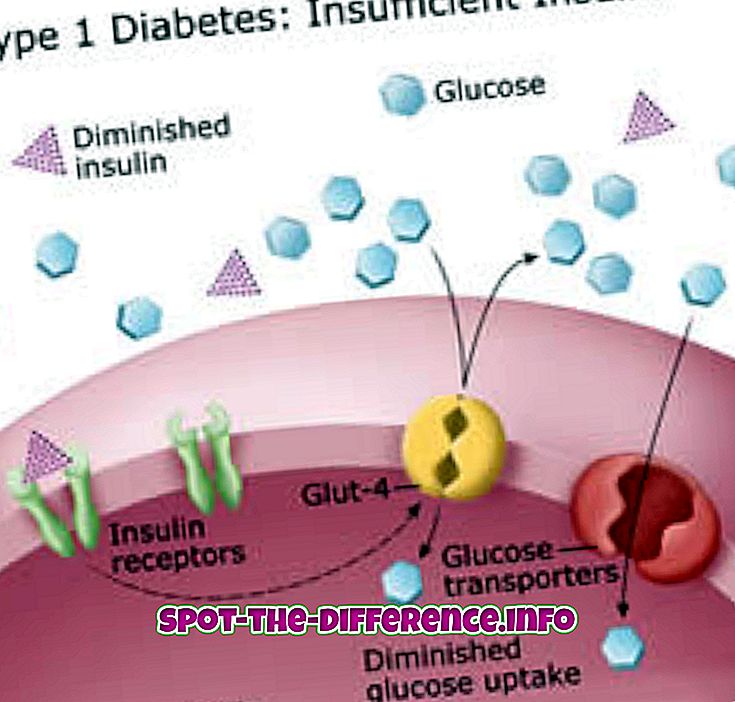 Rozdíl mezi diabetem typu 1 a typem 2