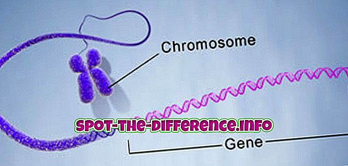 Diferența dintre genetică și genomică