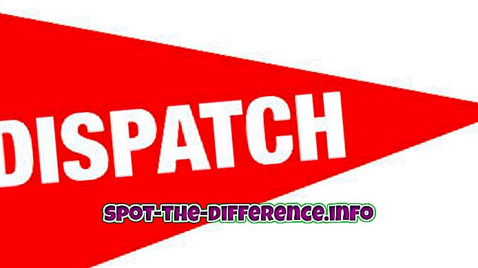 ความแตกต่างระหว่าง: ความแตกต่างระหว่าง Despatch และ Dispatch