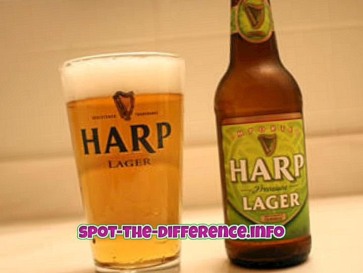 Rozdíl mezi Lager Beer a Silným pivem