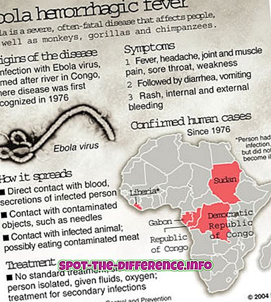 ความแตกต่างระหว่าง: ความแตกต่างระหว่างอีโบลาและอหิวาตกโรค