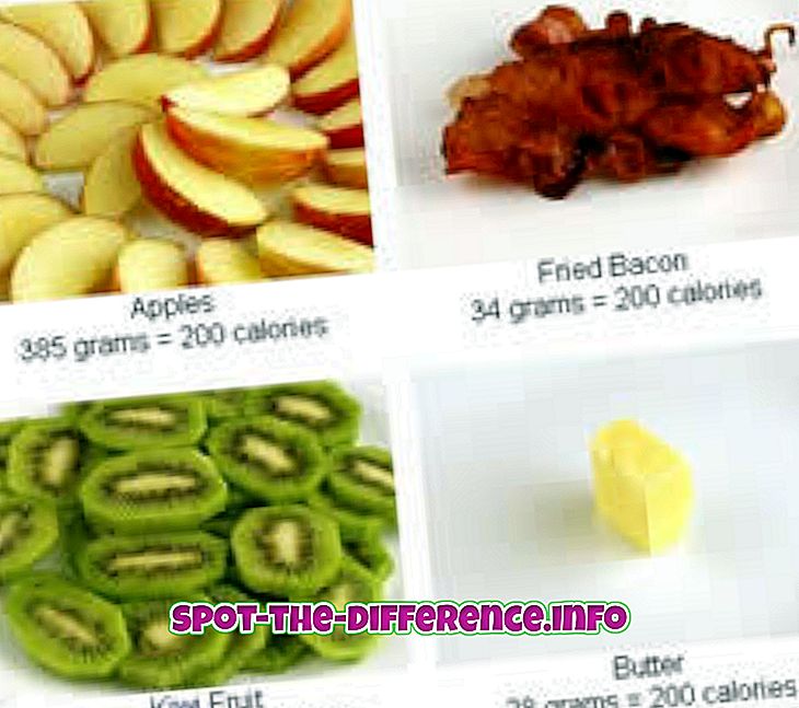diferença entre: Diferença entre calorias e gordura
