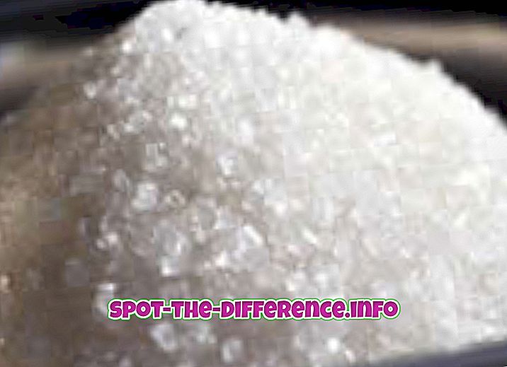 Forskel mellem Granuleret Sukker og Regular Sugar