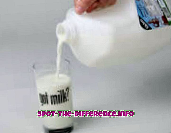 ความแตกต่างระหว่าง Milk กับ Buttermilk