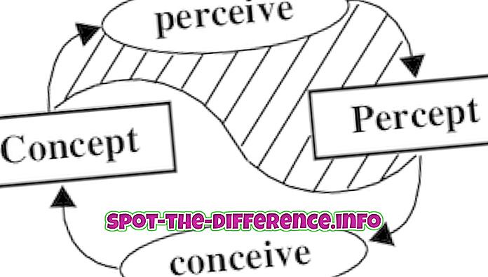 ความแตกต่างระหว่าง: ความแตกต่างระหว่างการรับรู้และความคิด
