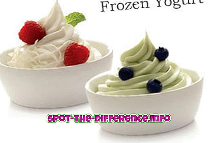 razlika med: Razlika med zamrznjenim jogurtom in sladoledom