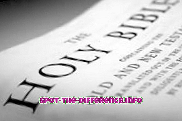 skillnad mellan: Skillnad mellan katolska och kristna bibeln