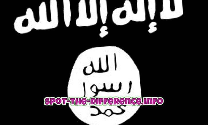 ความแตกต่างระหว่าง: ความแตกต่างระหว่าง ISIS และ Al Qaeda