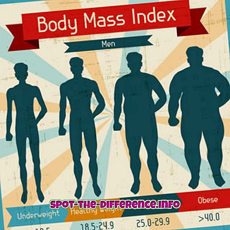 Unterschied zwischen BMI und BMR