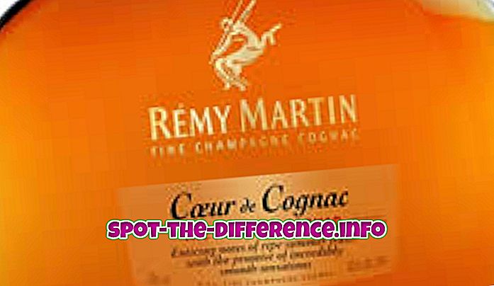 ความแตกต่างระหว่าง: ความแตกต่างระหว่าง Cognac และ Armagnac