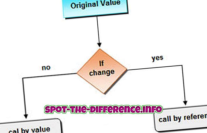 forskel mellem: Forskel mellem Opkald efter værdi og Opkald ved Reference i Programmering