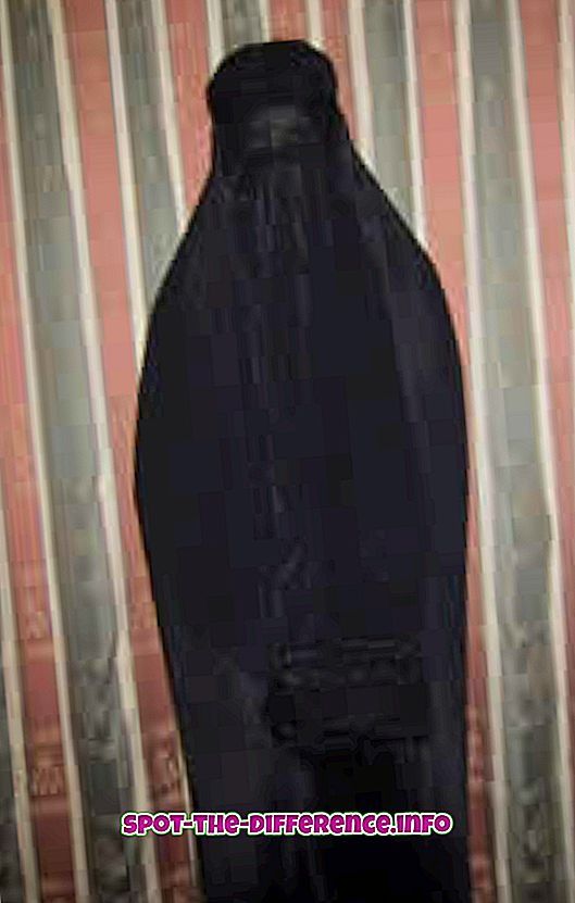 ความแตกต่างระหว่าง: ความแตกต่างระหว่าง Burqa และ Abaya