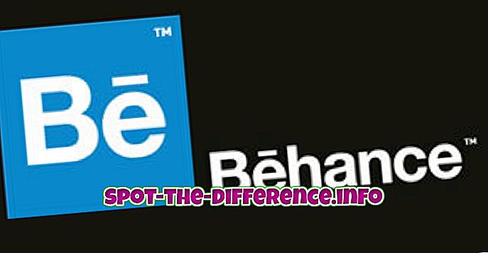 ความแตกต่างระหว่าง: ความแตกต่างระหว่าง Behance และ Adobe Portfolio