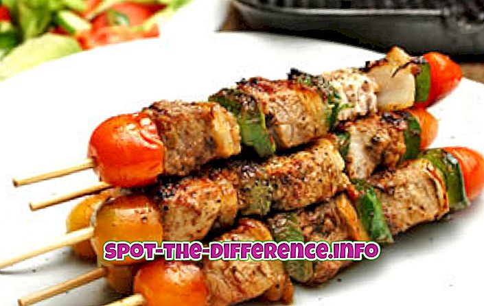 Forskjellen mellom Kebab og Tikka