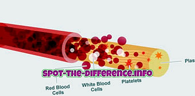 혈액과 혈장의 차이
