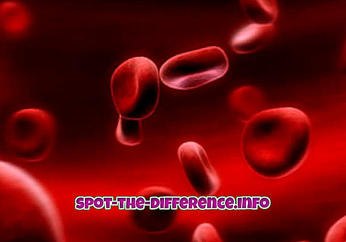 Różnica między hemoglobiną a hemoglobiną
