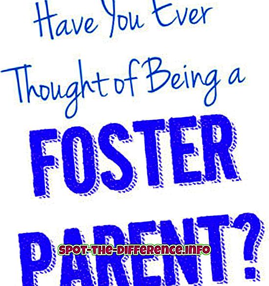 atšķirība starp: Starpība starp Foster vecāku un aizbildni