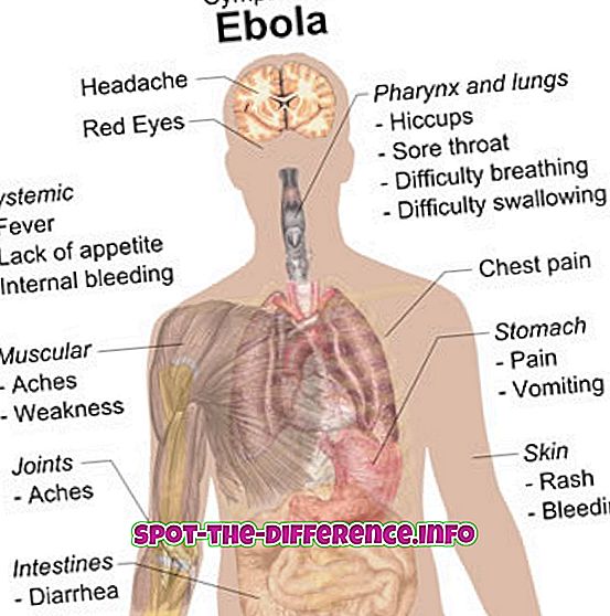 rozdíl mezi: Rozdíl mezi Ebola a chřipkou