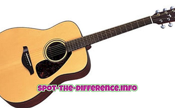 rozdíl mezi: Rozdíl mezi kytarou a Sitarem