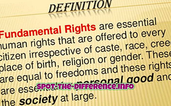 との差: 基本的権利と人権の違い