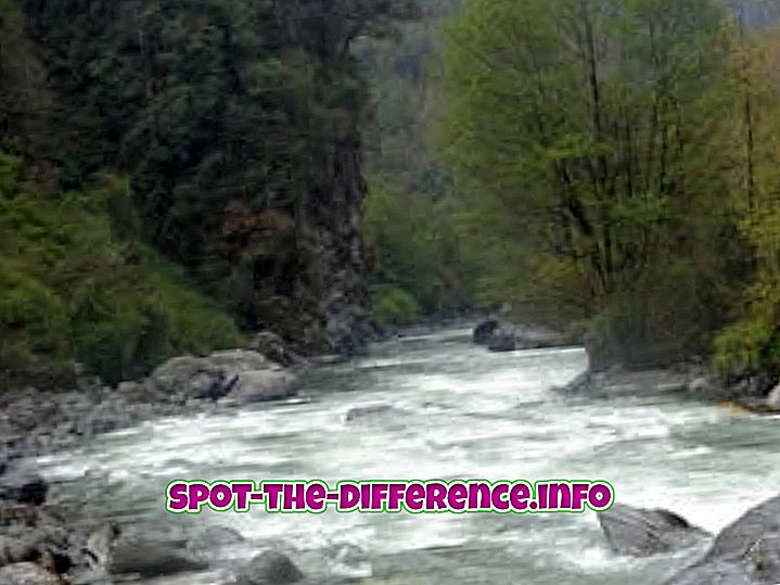ความแตกต่างระหว่าง: ความแตกต่างระหว่างแม่น้ำยืนต้นและแม่น้ำไม่ยืนต้น