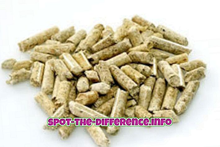 разница между: Разница между лиственными и хвойными древесными гранулами