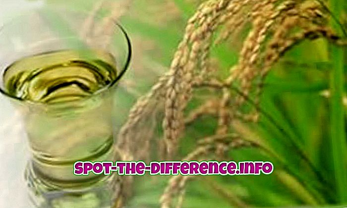 Rozdiel medzi olejom z ryžových otrúb a olivovým olejom