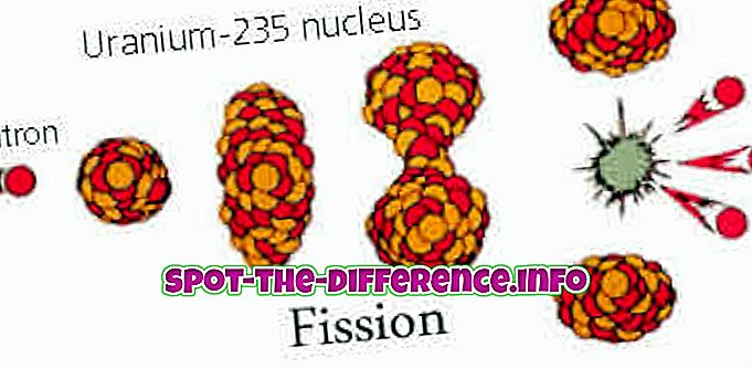 Diferencia entre fisión y fusión.