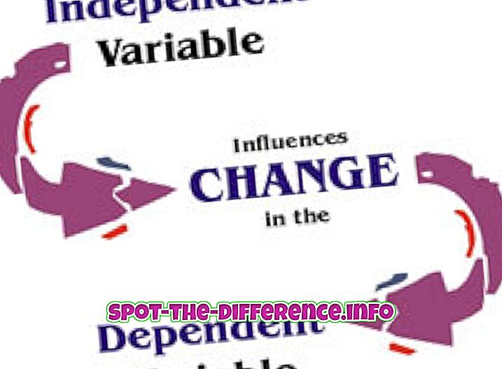 Rozdíl mezi nezávislými a závislými proměnnými
