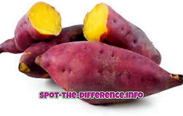 Rozdiel medzi sladkými zemiakmi a ikami