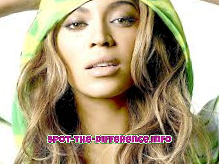 Perbedaan antara Beyonce dan Rihanna