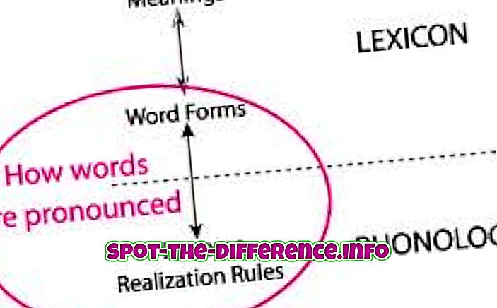 Forskel mellem fonologi og semantik