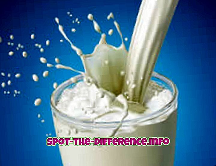 populära jämförelser: Skillnad mellan mjölk och kondenserad mjölk