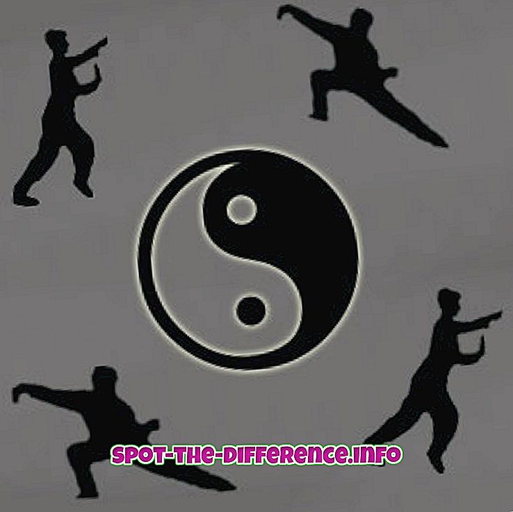Verschil tussen Tai Chi en Wing Chun