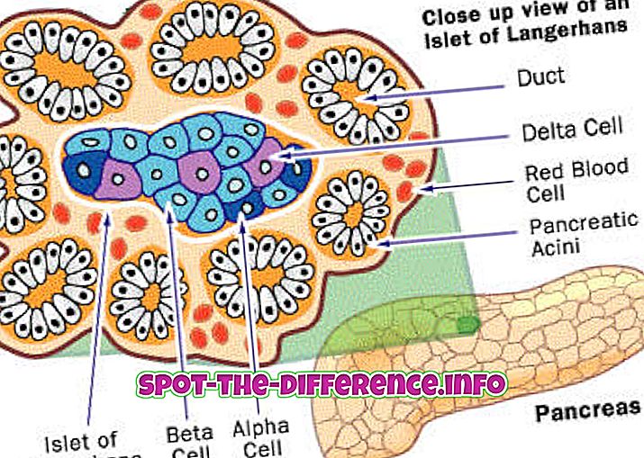 Diferența dintre celulele alfa și celulă beta