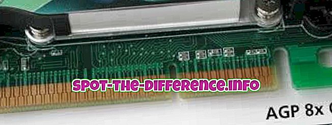Erinevus AGP ja PCI Express graafikakaartide vahel