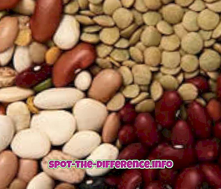 Perbedaan antara Kacang polong dan Kacang