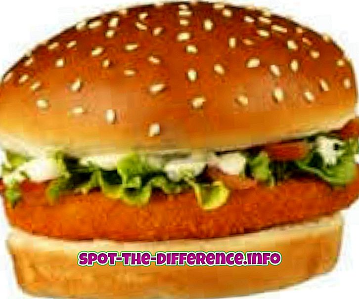 popularne usporedbe: Razlika između Burgera i Hamburgera