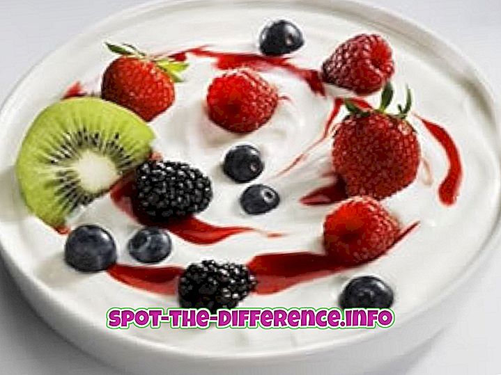 populære sammenligninger: Forskel mellem yoghurt og Dahi