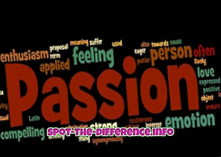 populære sammenligninger: Forskel mellem lidenskab og lyst