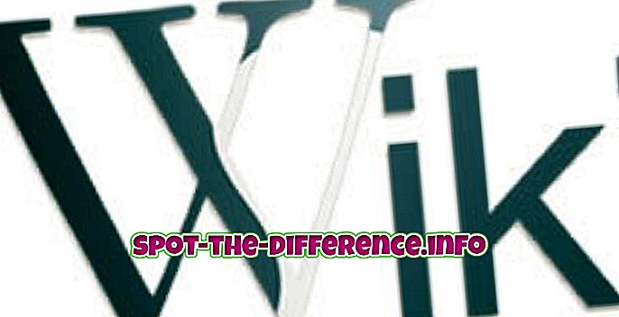 perbandingan populer: Perbedaan antara Wiki dan Situs Web