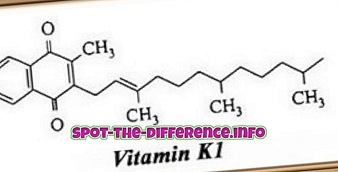 tautas salīdzinājumi: Atšķirība starp K1 un K2 vitamīnu
