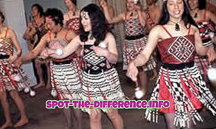Forskel mellem kiwi og maori