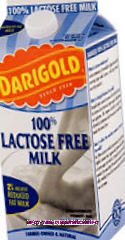 Starpība starp bez laktozes un bez piena produktiem
